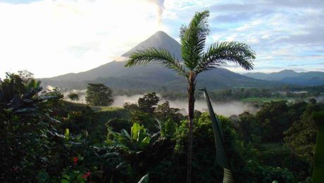 Costa Rica Holidays with Our Local Tour