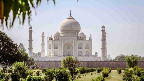 Escorted Group Tours in India