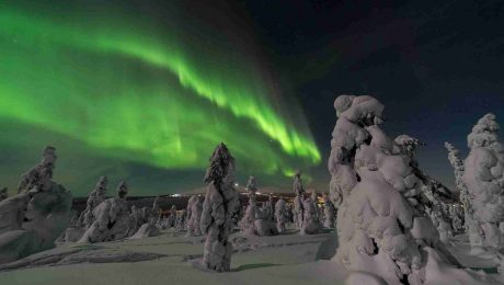 Finland Holidays with Our Local Tour