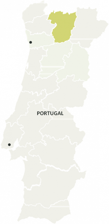 Douro Wine Region Map