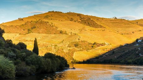 Douro Wine Region Walking Tour Douro Wine Region Walking Tour