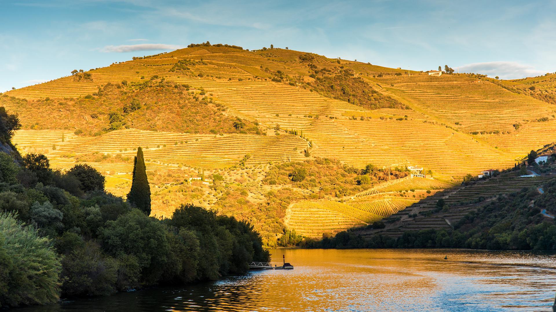 Douro Wine Region Walking Tour