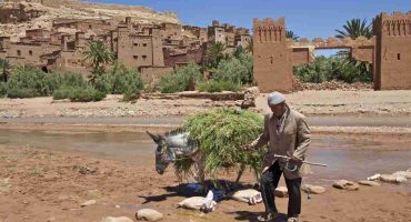 Explore Authentic Morocco