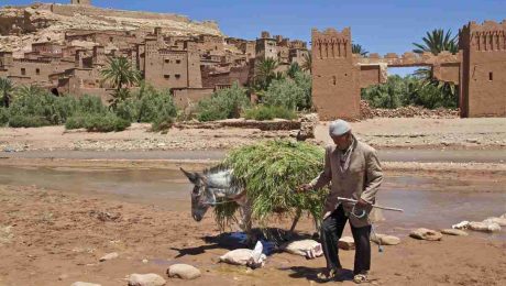 Explore Authentic Morocco