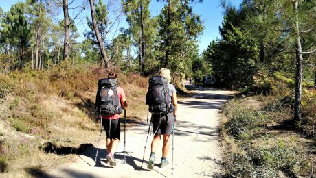 Walk the Portuguese Camino