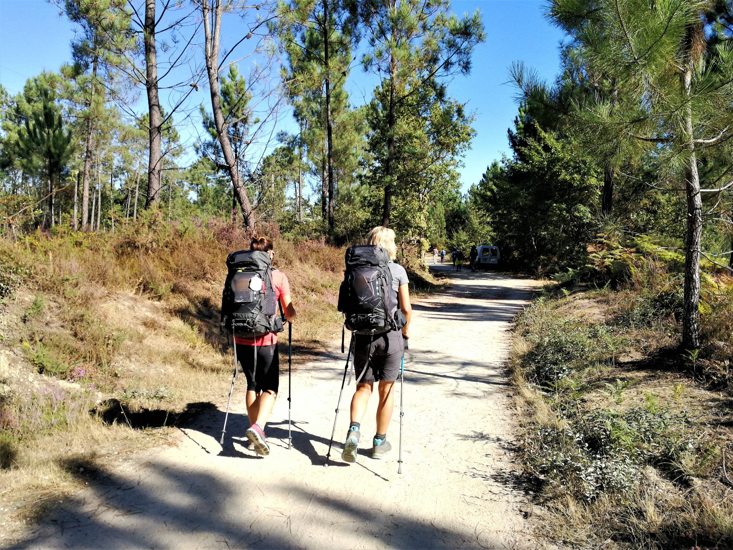 Walk the Portuguese Camino