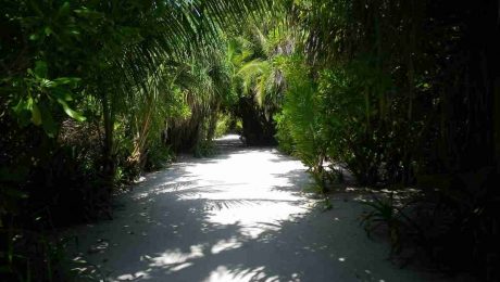 Undiscovered Maldives Tour to the deep north