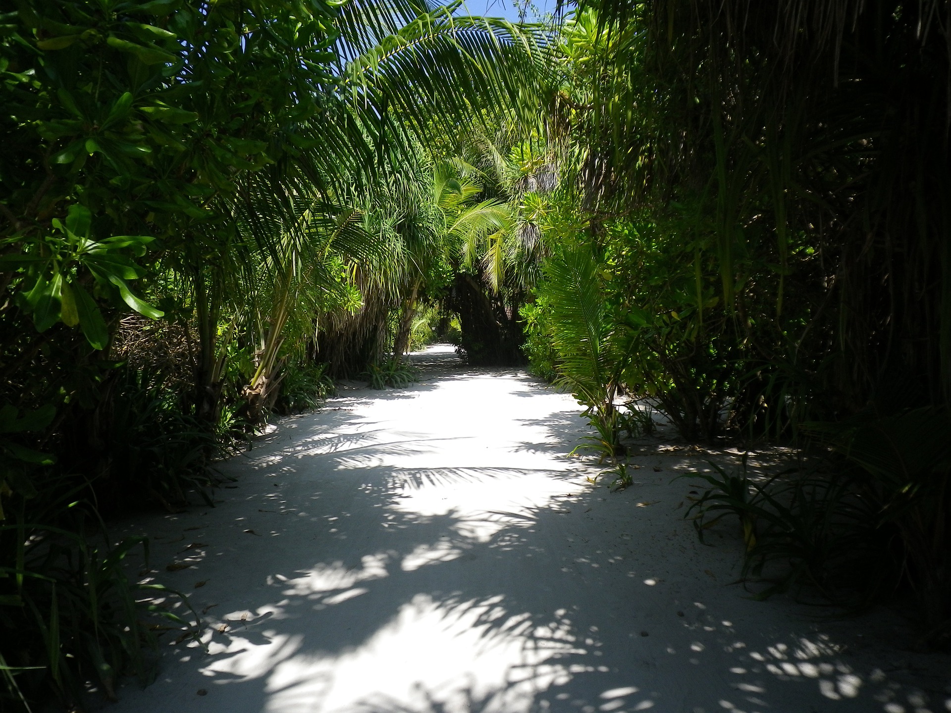 Undiscovered Maldives Tour