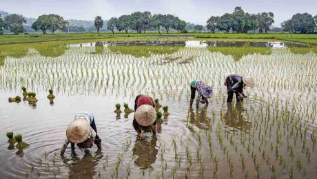 Ethical Travel in Vietnam