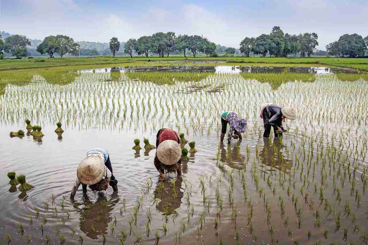 Ethical Travel in Vietnam