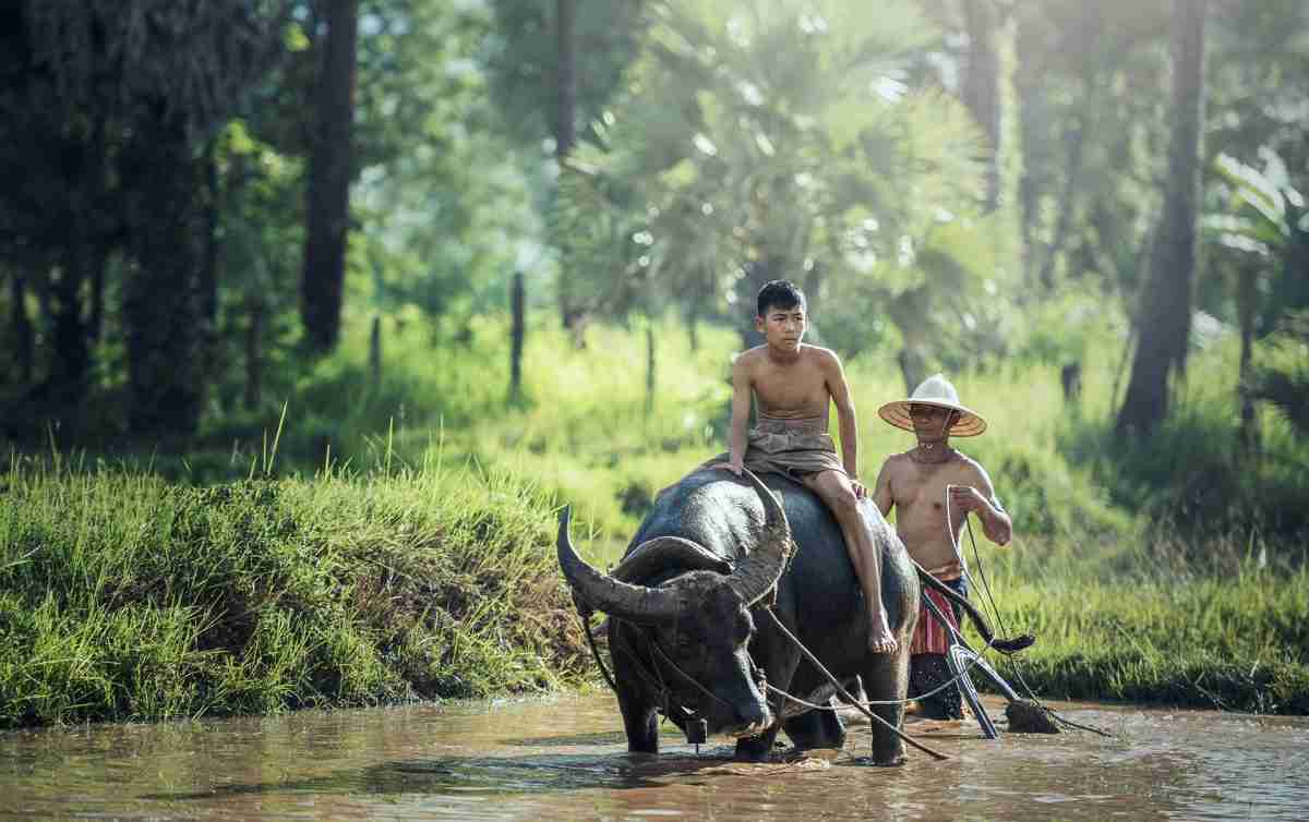 Vietnam off the beaten track