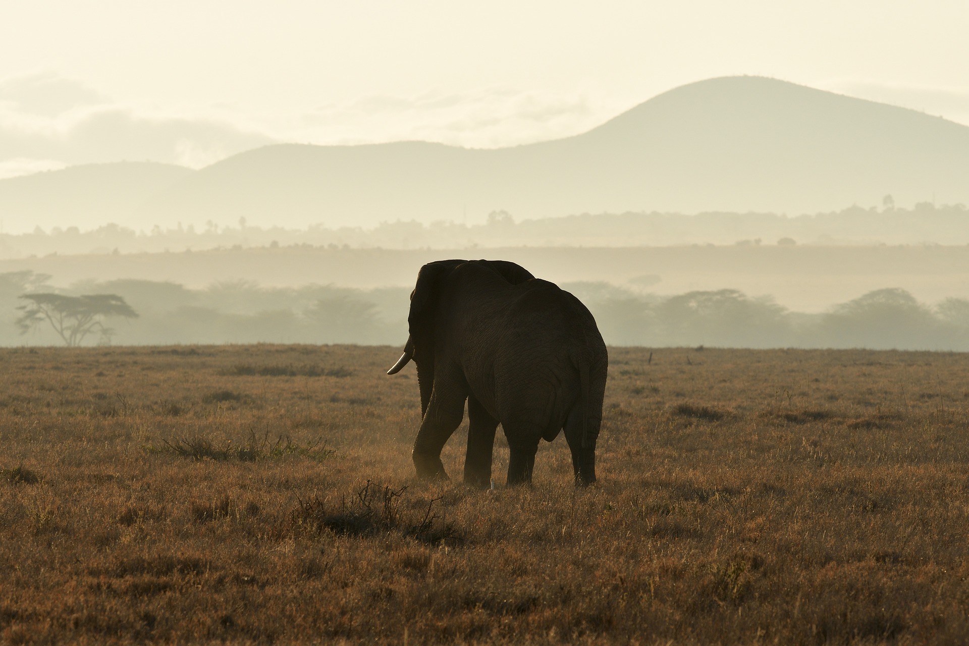 Kenya - The Ultimate Kenya Safari