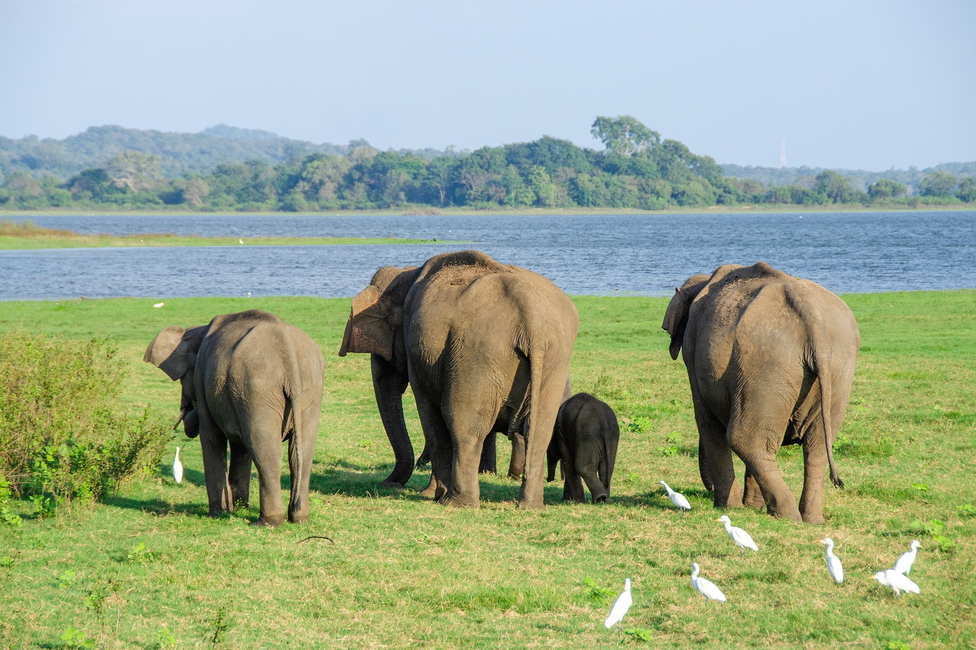 Sri Lanka - Wildlife Tour