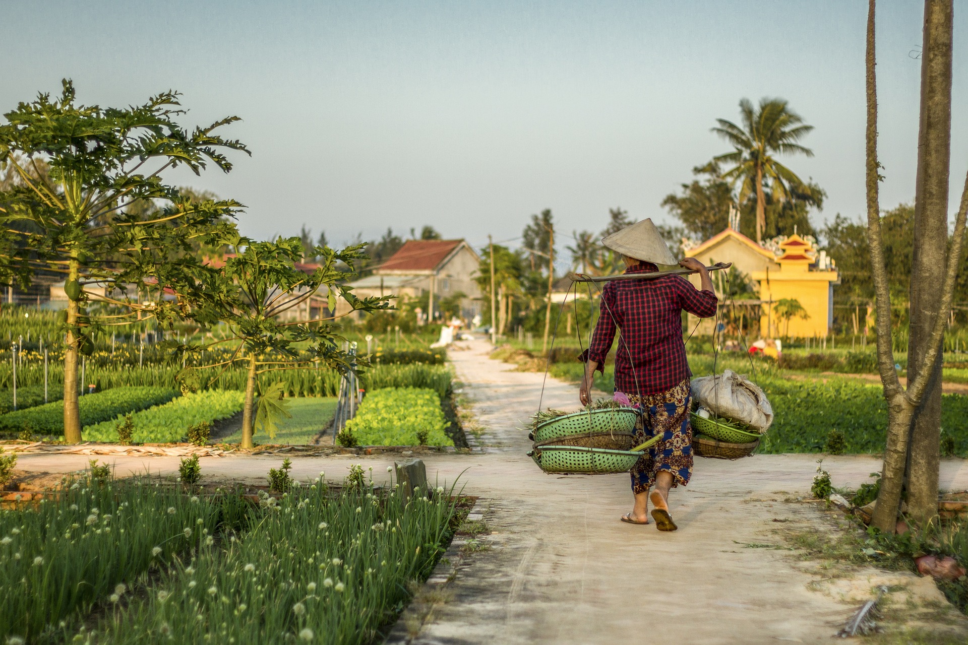 Vietnam - Off the Beaten Track Tour