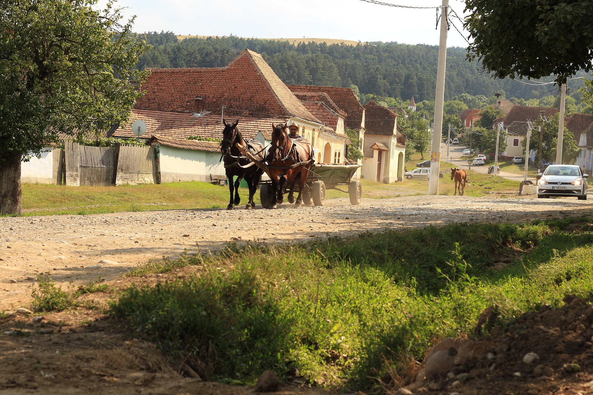 Romania - Local Authentic Tours