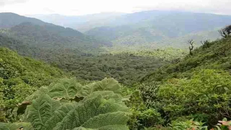 Costa Rica - Why visit Monteverde