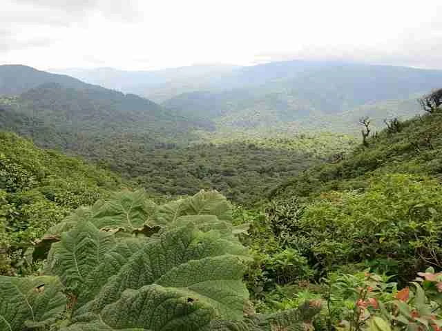 Costa Rica - Why visit Monteverde