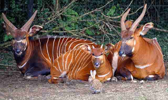 Kakum National Park