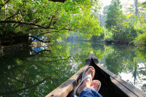 Our Local Tour - Private Escorted Tours Our Local Tour - Private Escorted Tours