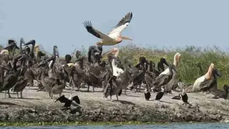 Senegal – What to do in Sine Saloum Senegal - What to do in Sine Saloum