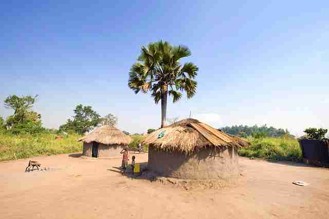 The Karamojong Community