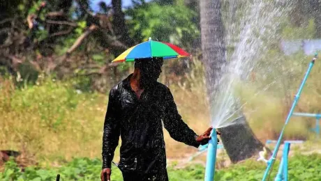 Maldives – what to see – Kelaa Maldives - what to see - Kelaa