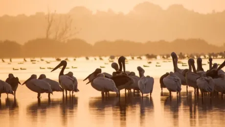Romania - things to see in Romania - Danube Delta