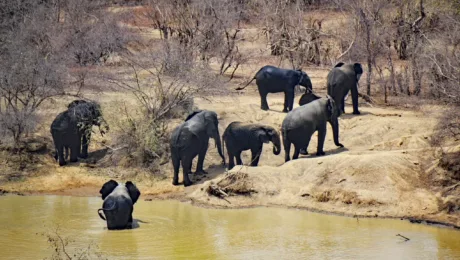 Ghana – Best Ghana Tour Ghana - Best Ghana Tour