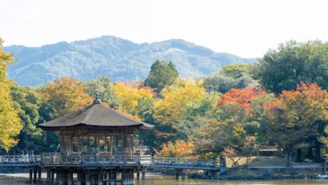 Japan – Places to see – Nara Japan - Places to see - Nara