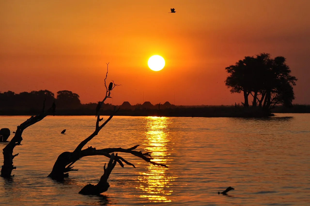 Botswana - Lodge Safari including Zimbabwe