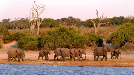 Botswana Mobile Safari and Tours Botswana Mobile Safari and Tours