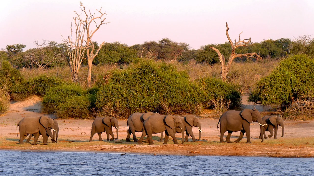 Botswana Mobile Safari and Tours