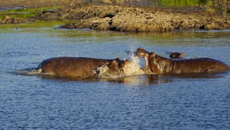 Botswana – Places to see – Chobe National Park Botswana - Places to see - Chobe National Park