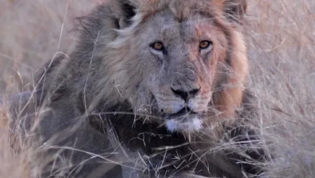 Botswana - Places to see - Savuti