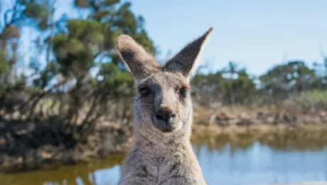 Australia Holidays and Tours Australia Holidays and Tours