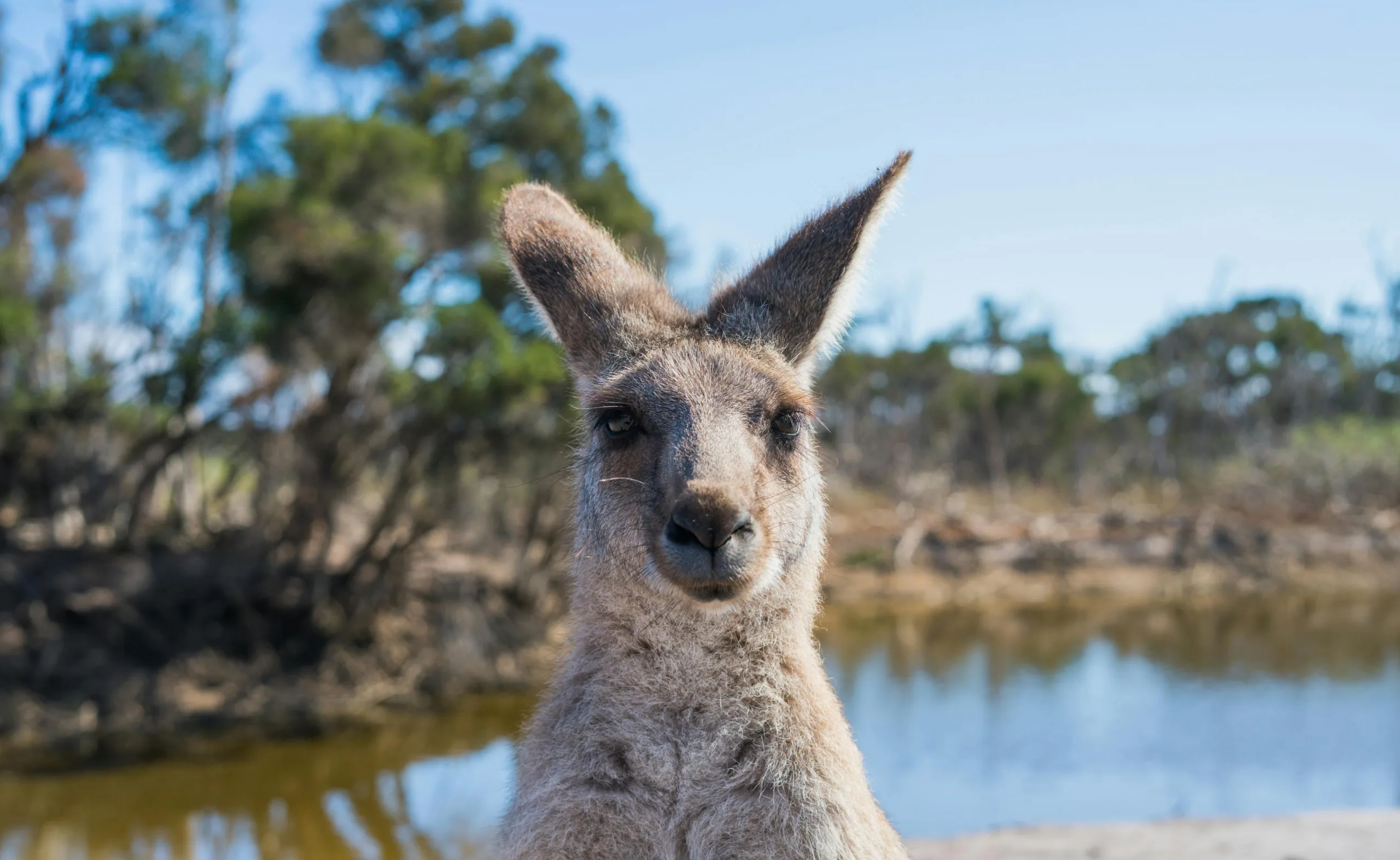 Australia Holidays and Tours