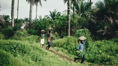 Sierra Leone - Places to see - Tiwai Island