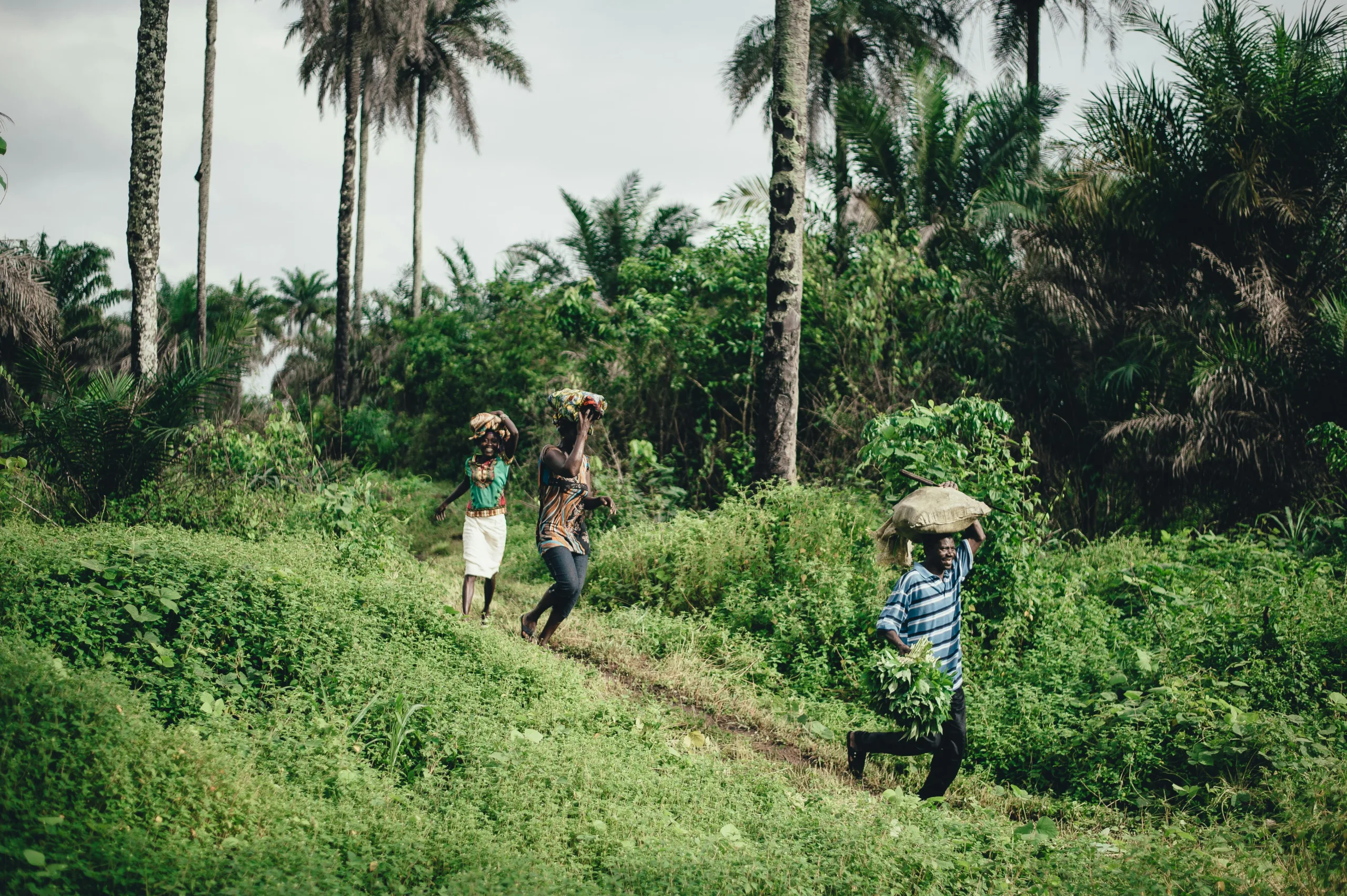 Sierra Leone - Places to see - Tiwai Island