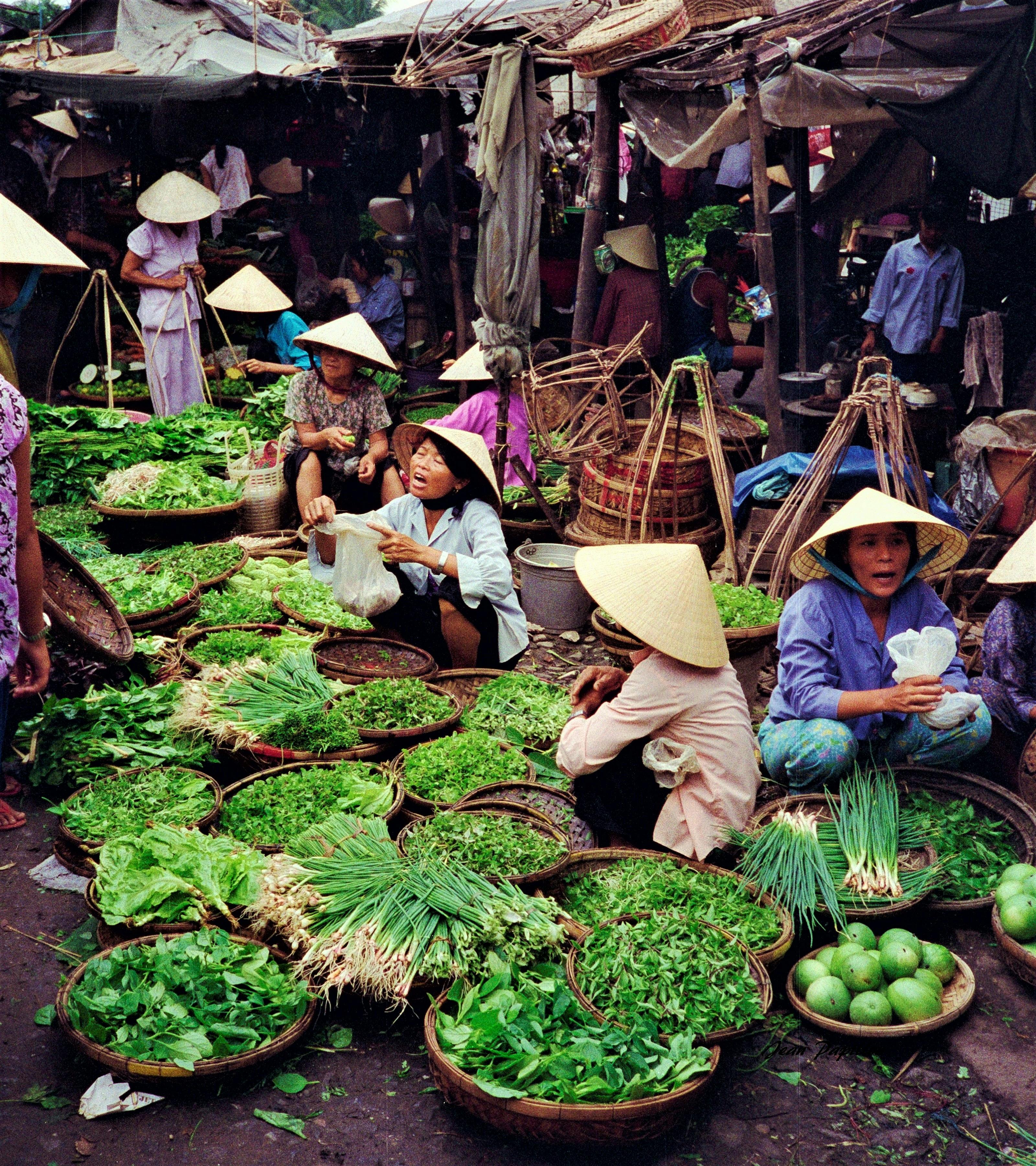Vietnam - Taste of Vietnam Tour