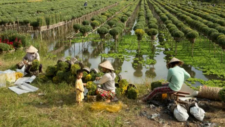 Vietnam - Things to see- - Mekong Delta