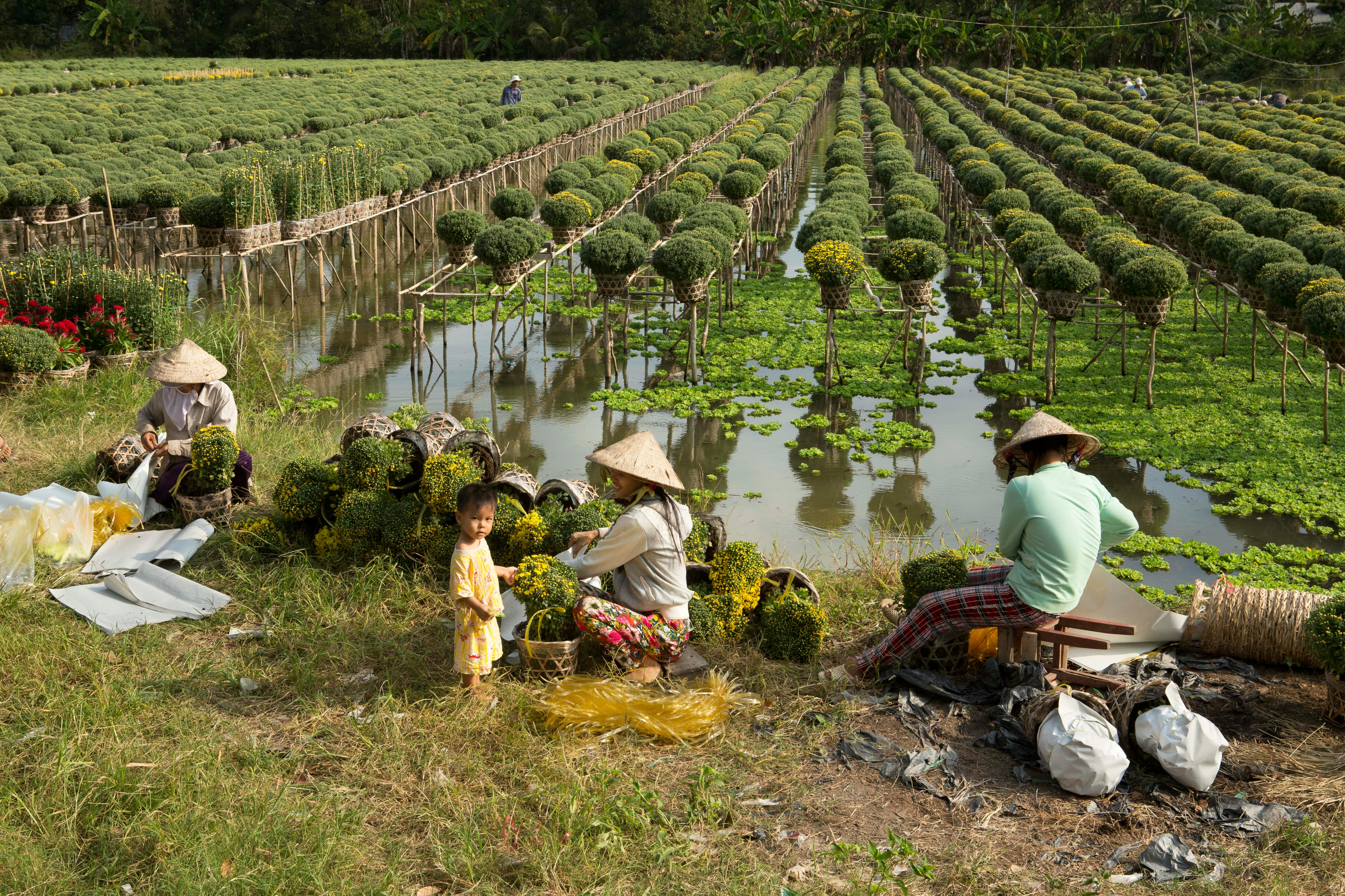 Mekong Delta