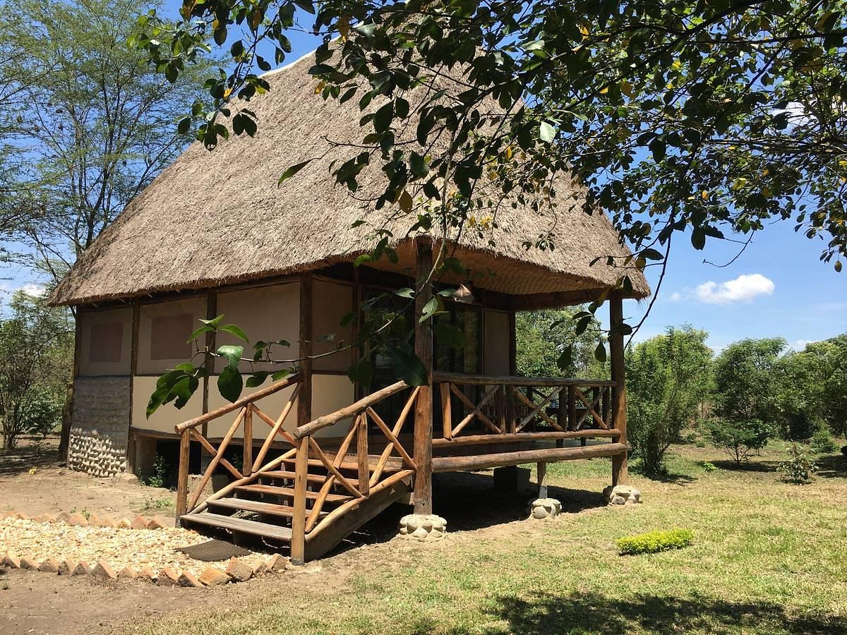 Ishasha Jungle Lodge