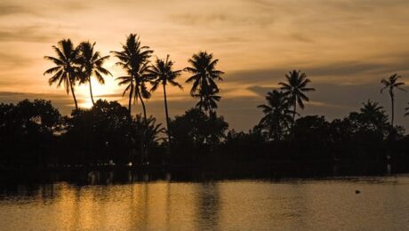 Indian Holiday Tours – Kerala Backwaters Indian Holiday Tours - Kerala Backwaters