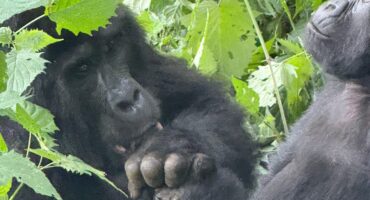 small group Uganda tours