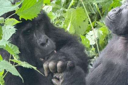 small group Uganda tours small group Uganda tours