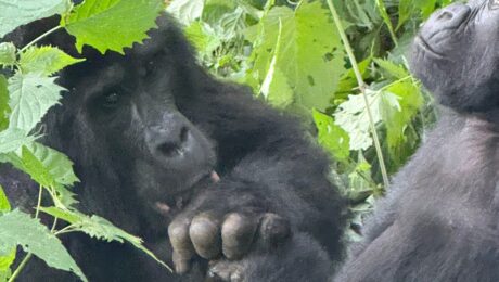 small group Uganda tours small group Uganda tours