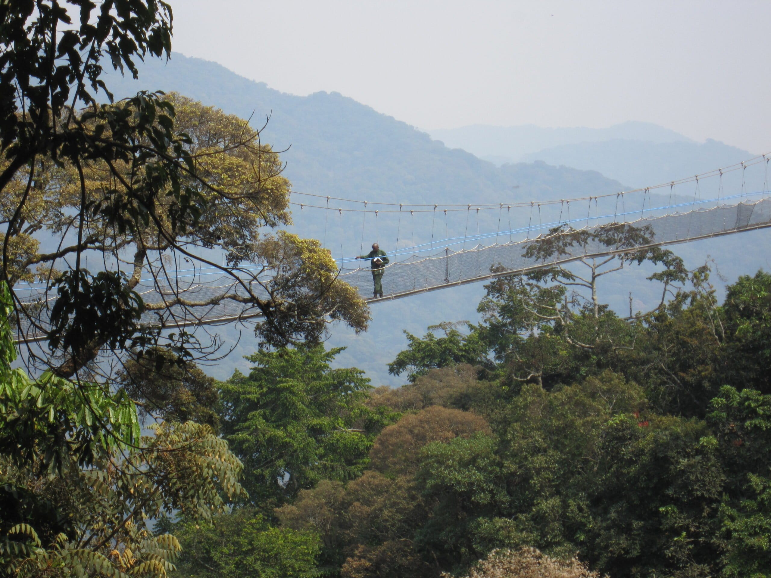 Rwanda - Nyungwe Forest National Park