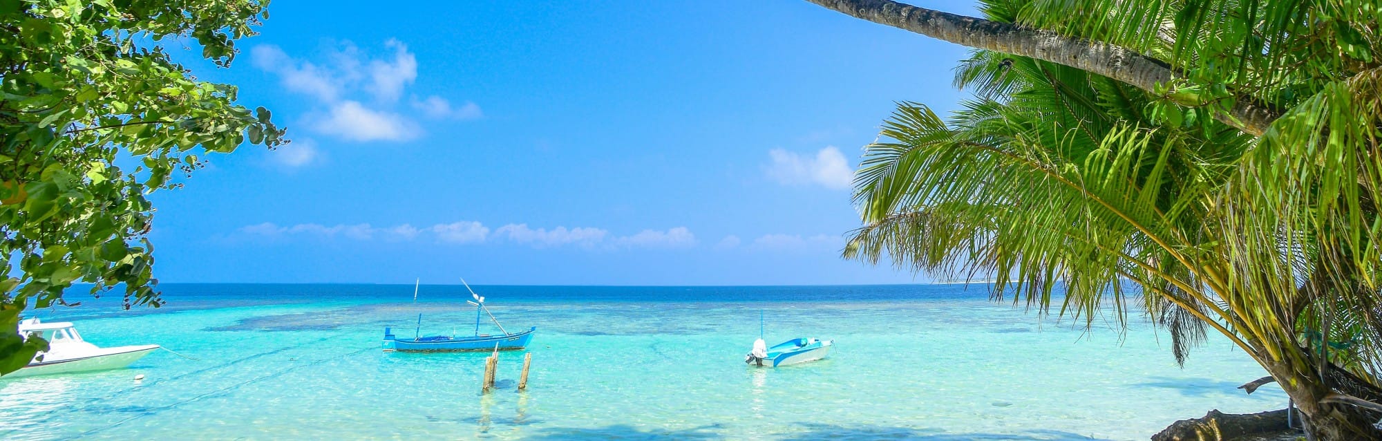 Tours, tailormade holidays & safaris, all led by local experts