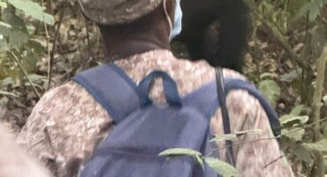 How Physical Is the Gorilla Trek in Uganda?