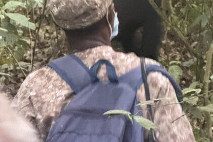 How Physical Is the Gorilla Trek in Uganda?